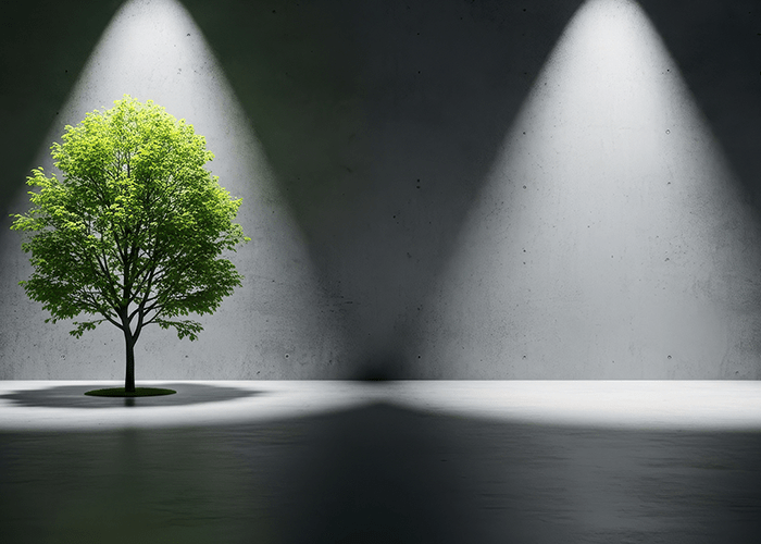 光を浴びる木と空の空間|周囲の成功に圧倒され、自分は過去の人になったのではと感じる瞬間|復活コーチング